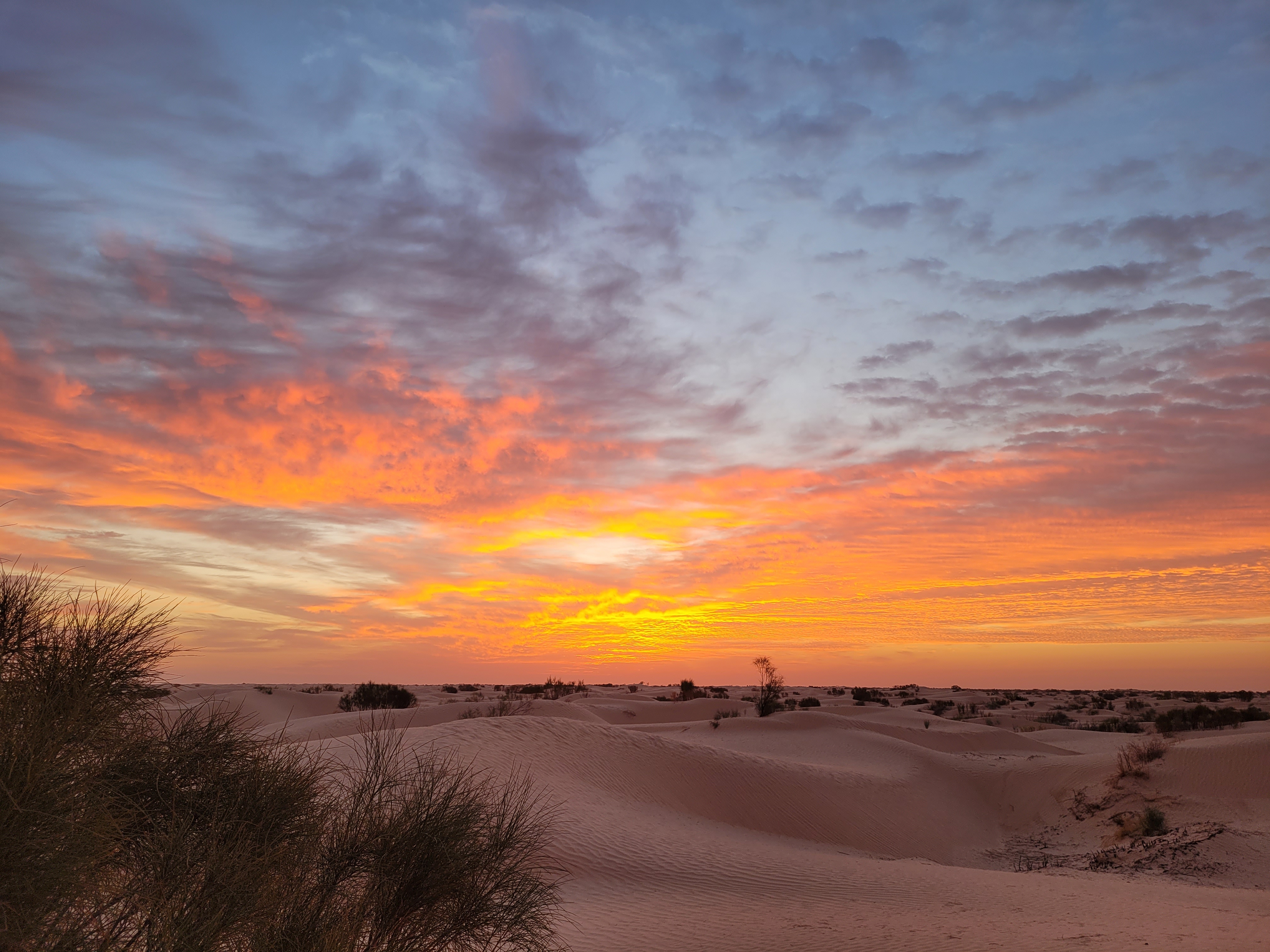 Goldener Sonnenuntergang über den Sahara-Dünen