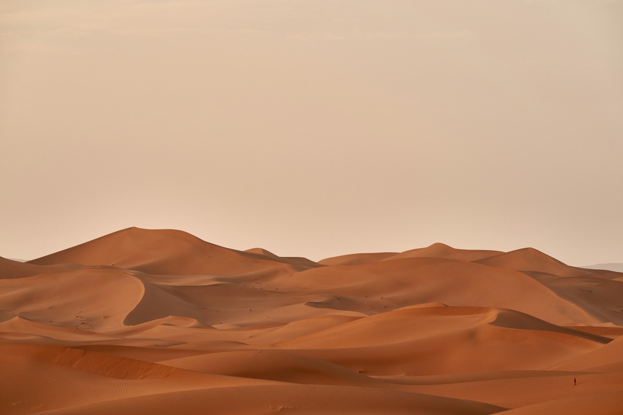 Goldene Dünen der Sahara in der Abenddämmerung